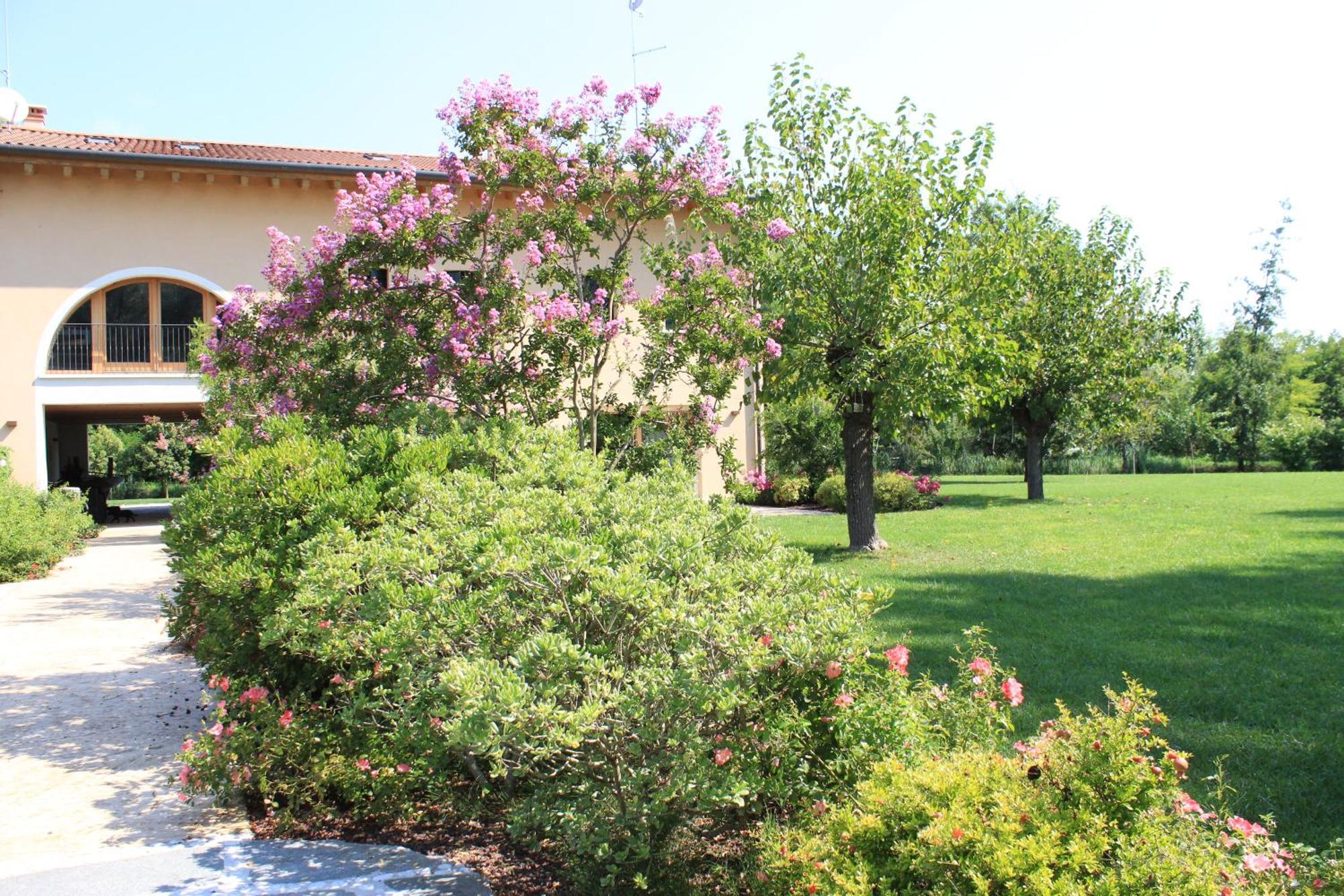Ca' Del Sile Bed & Breakfast Morgano Room photo